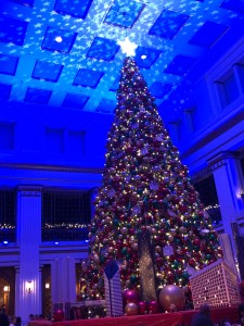 CB523670-6B92-4834-8B68-3CD3AD9FB5AE